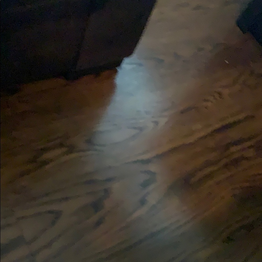 Meet your Posher, Isabella